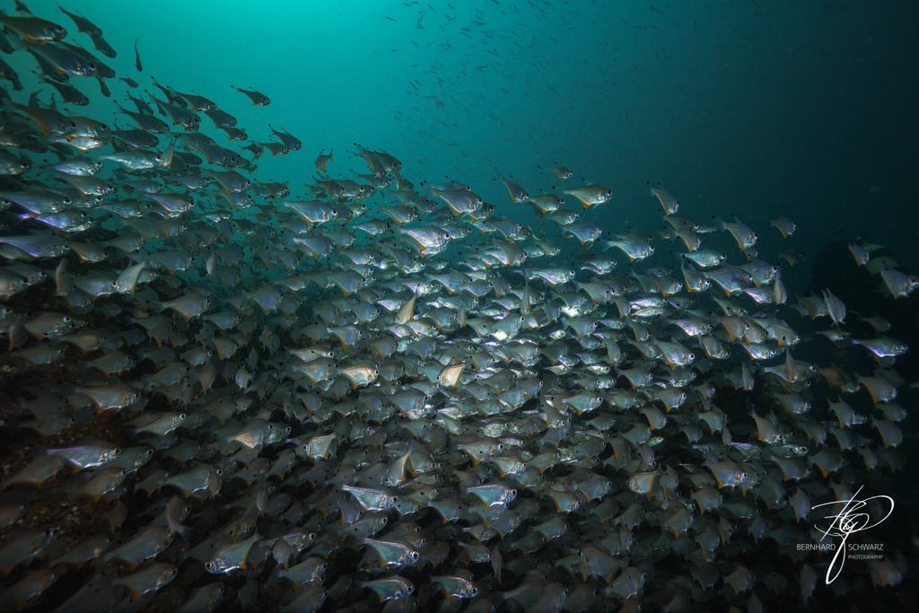 Fish Cave Rock