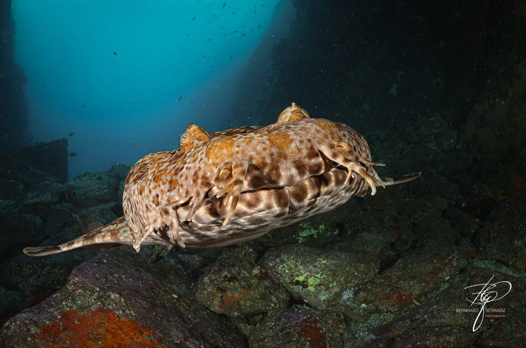 Fish Cave Rock