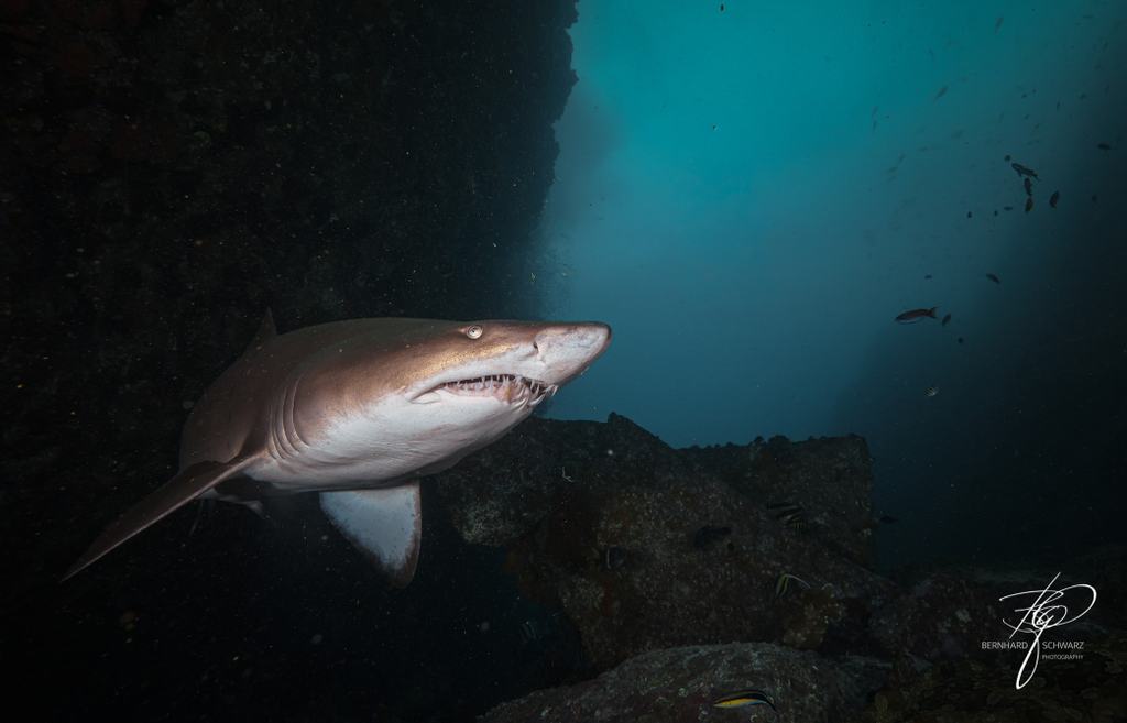 Fish Cave Rock
