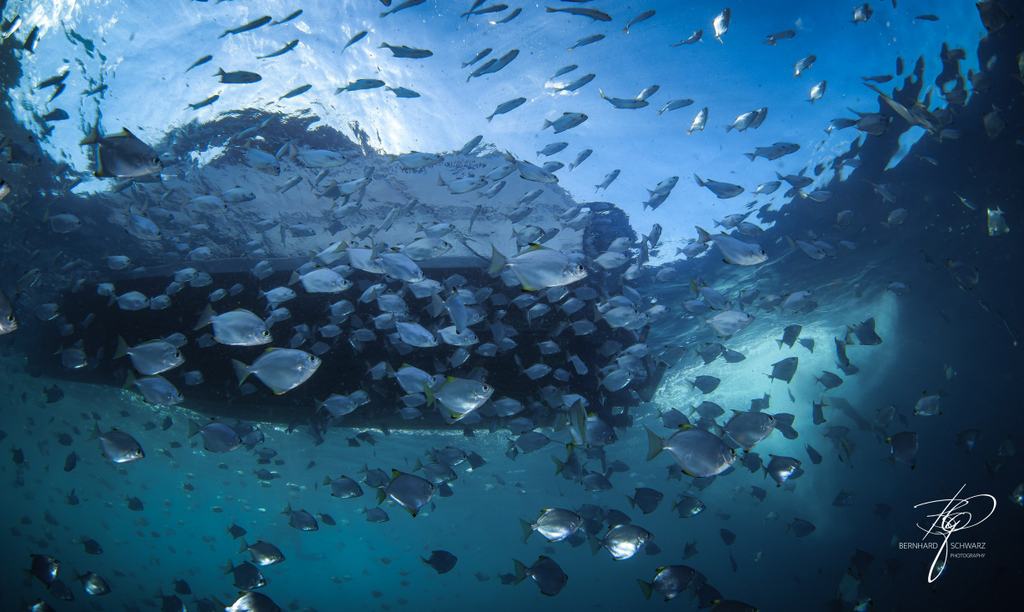 Fish Cave Rock