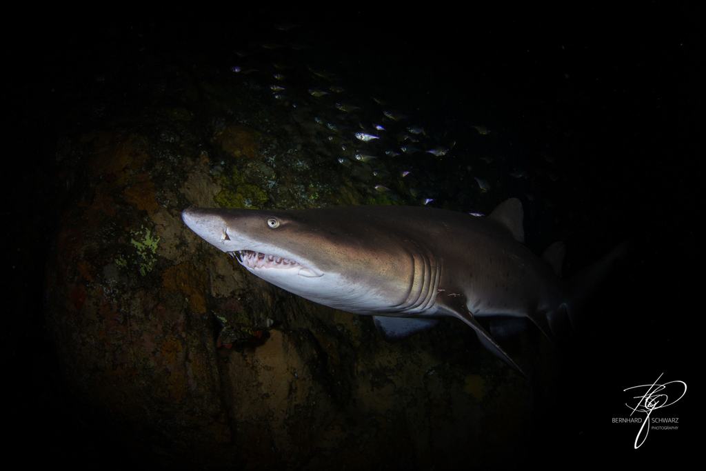 Fish Cave Rock