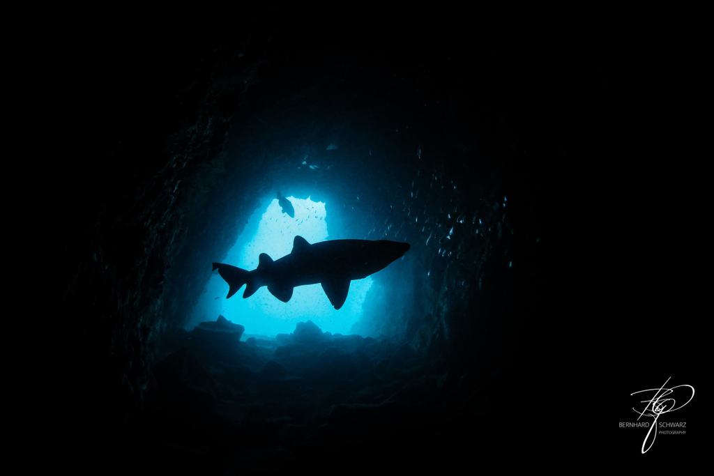 Fish Cave Rock
