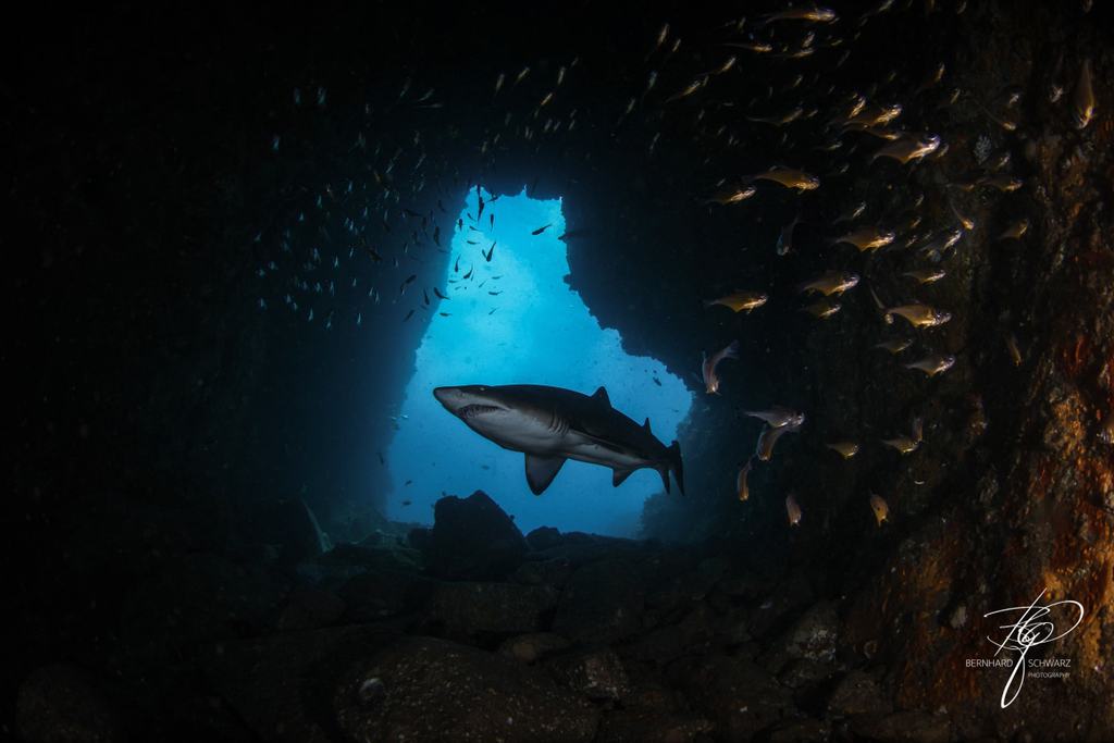 Fish Cave Rock