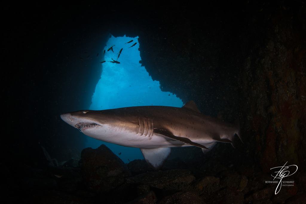 Fish Cave Rock