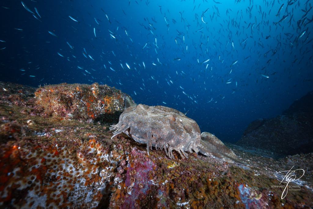 Fish Cave Rock
