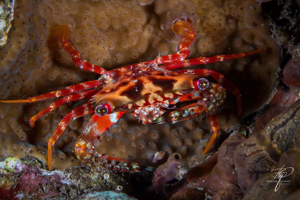 TULAMBEN