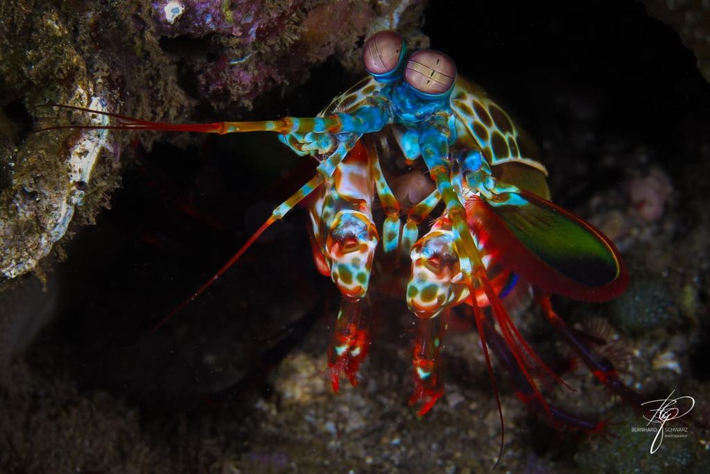 TULAMBEN