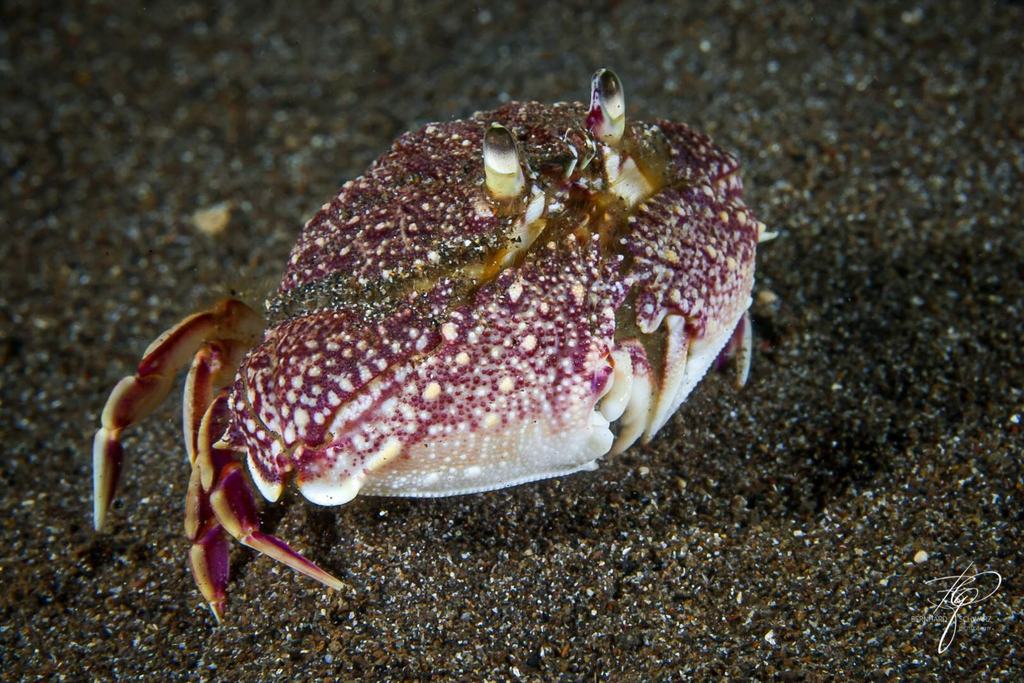 TULAMBEN