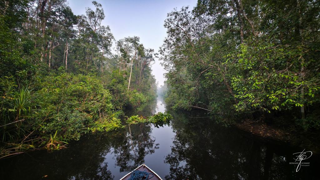 BORNEO