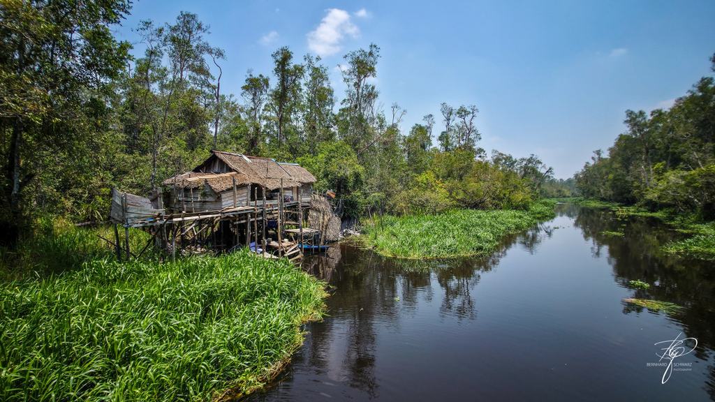 BORNEO