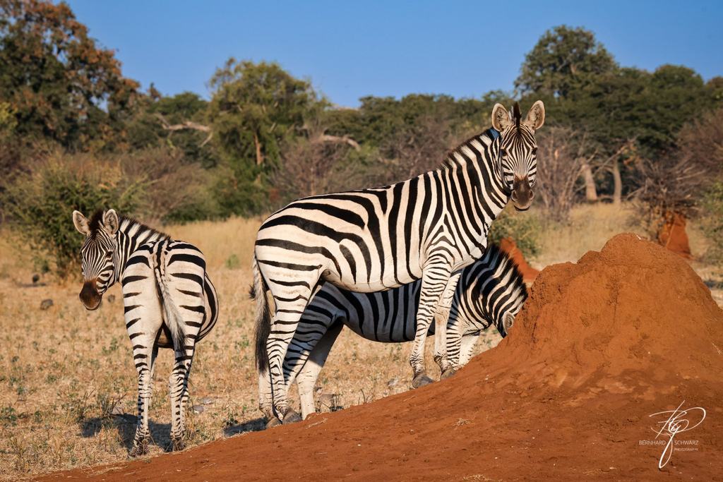 Botswana