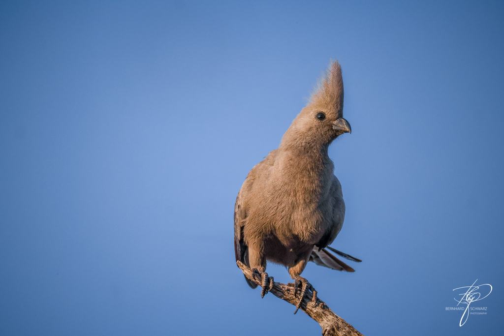 Botswana