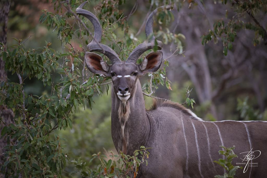 Botswana