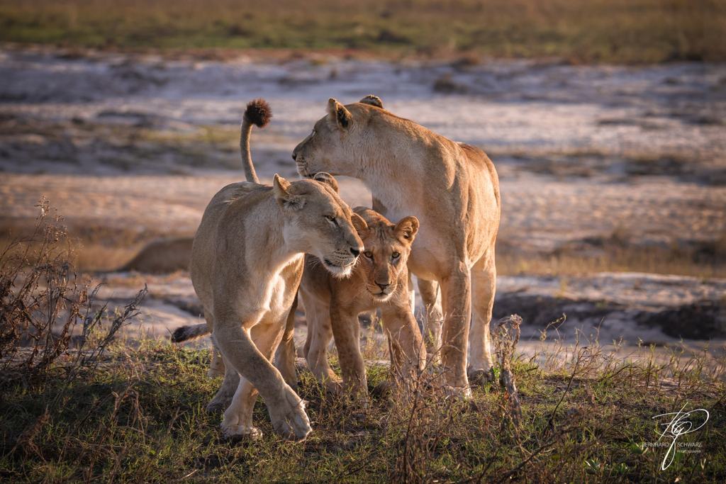 Botswana