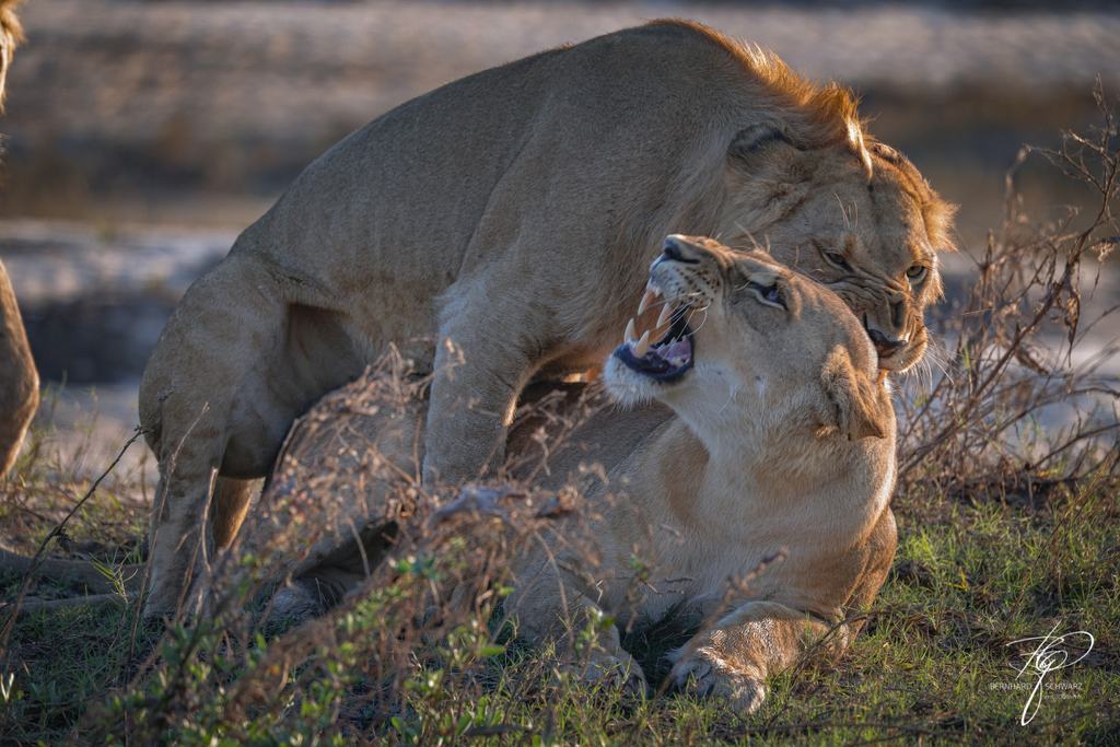 Botswana
