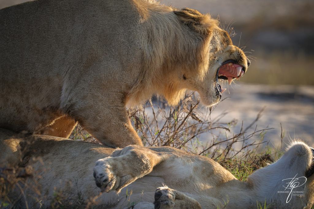 Botswana