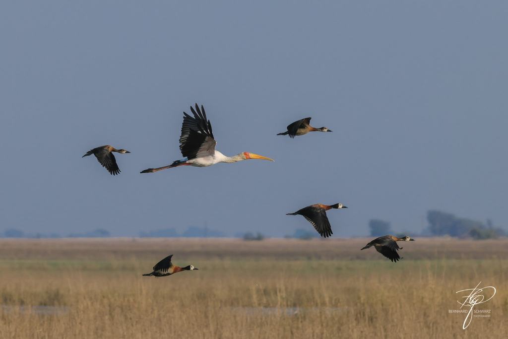 Botswana
