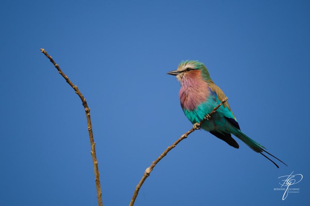 Botswana