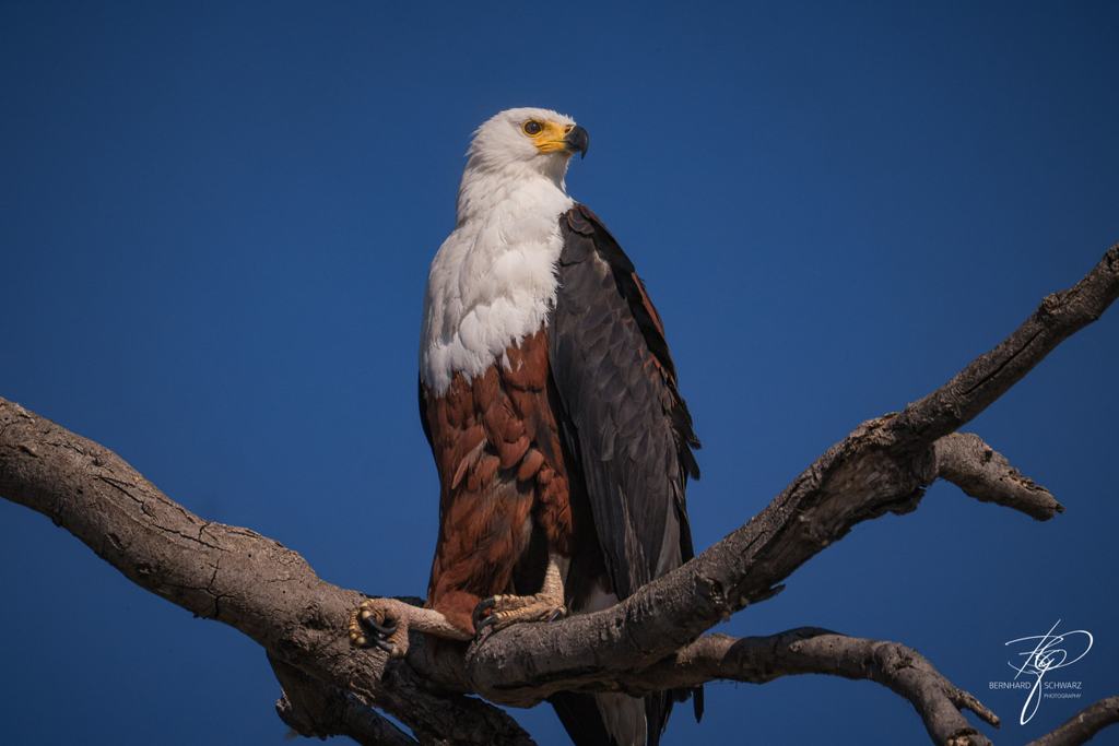Botswana