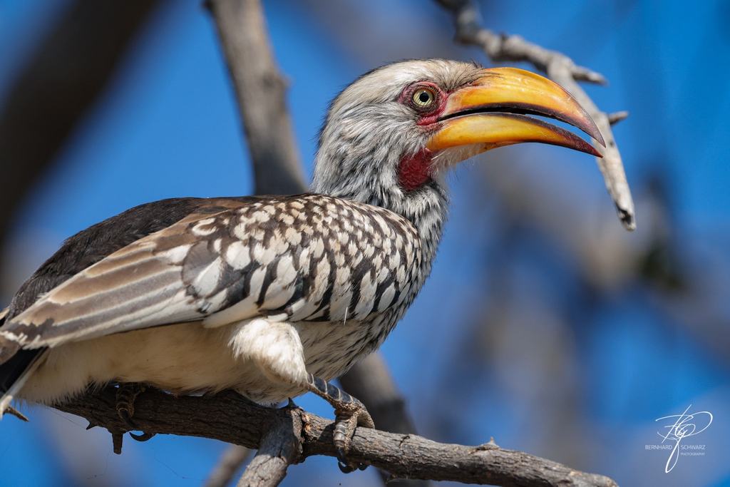Botswana