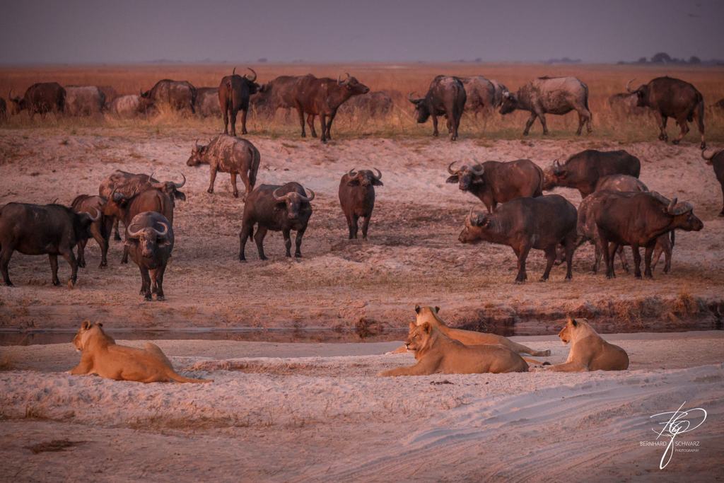 Botswana