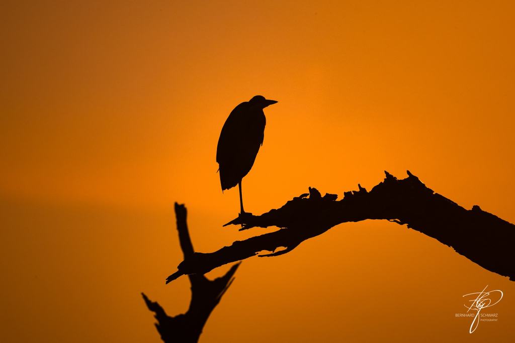 Botswana