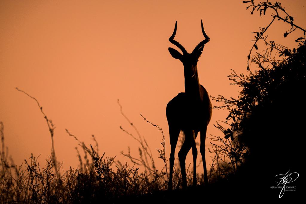 Botswana