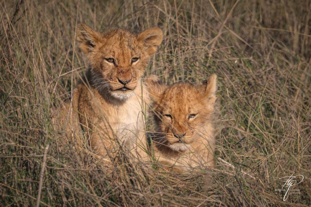 Botswana