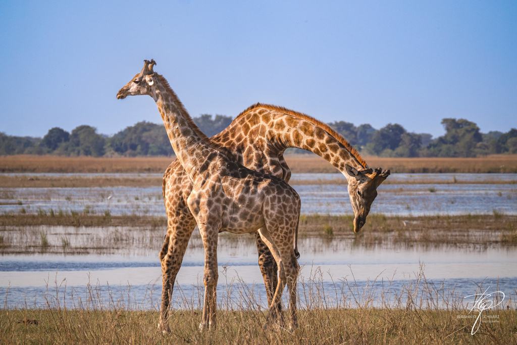 Botswana