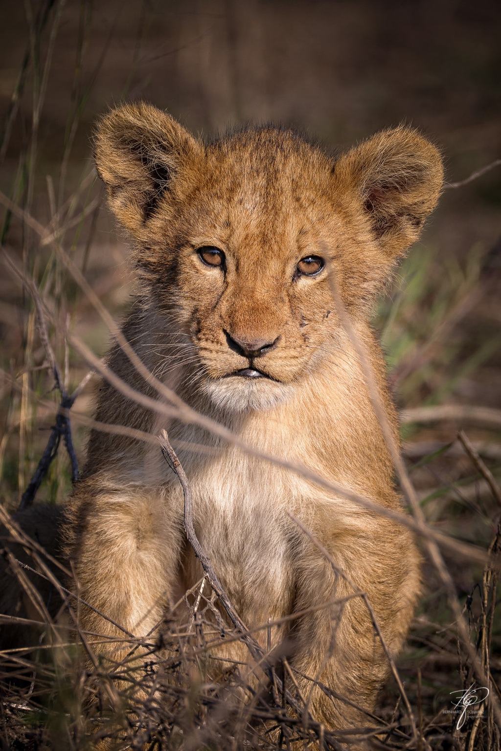 Botswana