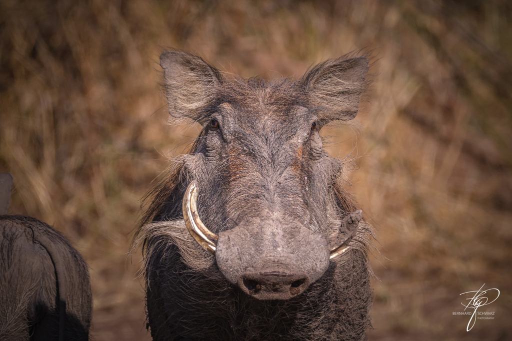 Botswana