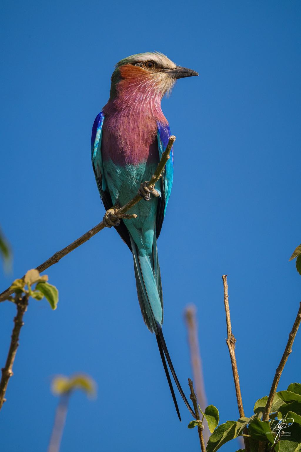 Botswana