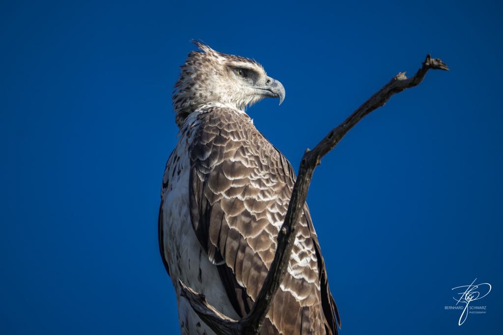 Botswana