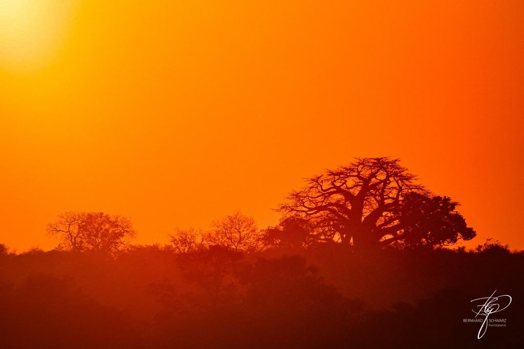 Zimbabwe