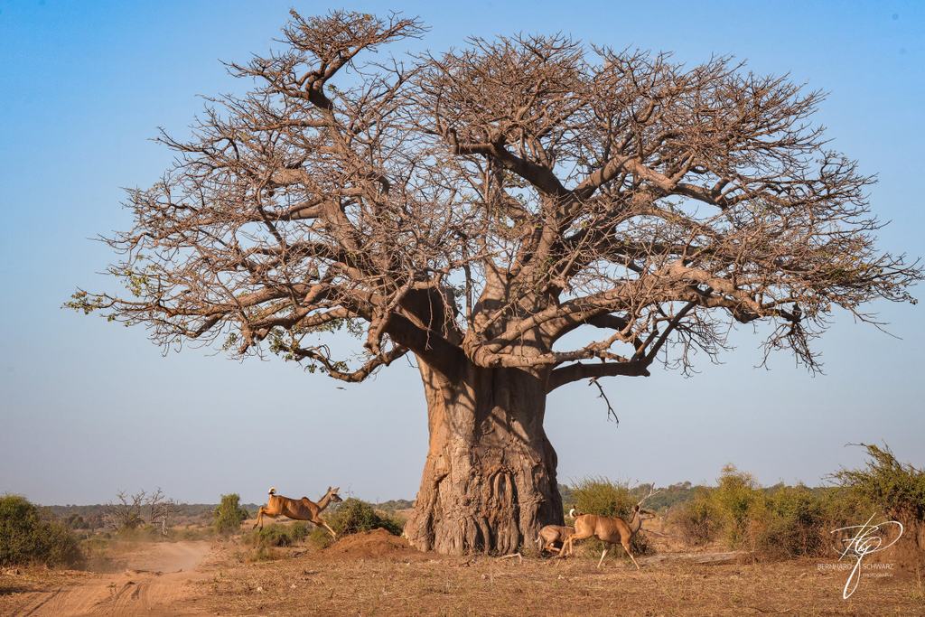 Botswana