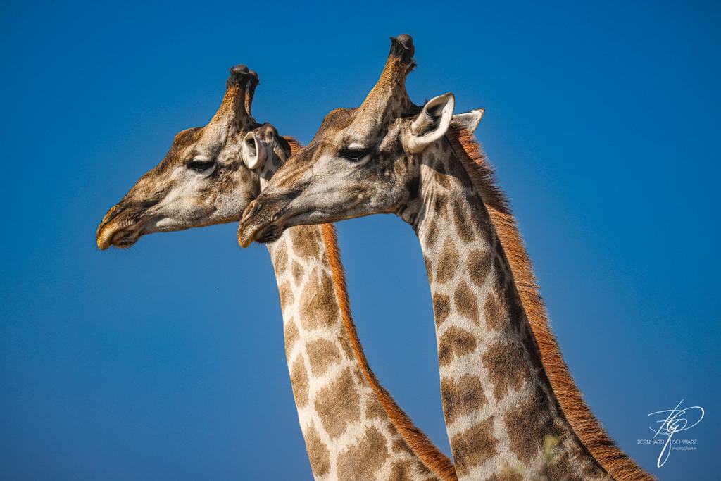 Botswana