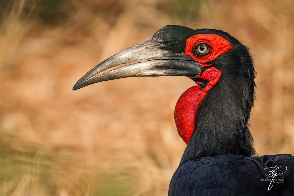 Botswana