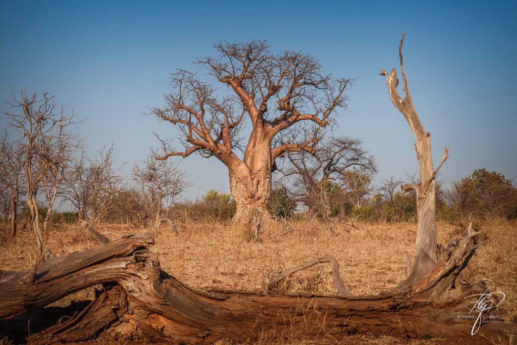 Botswana