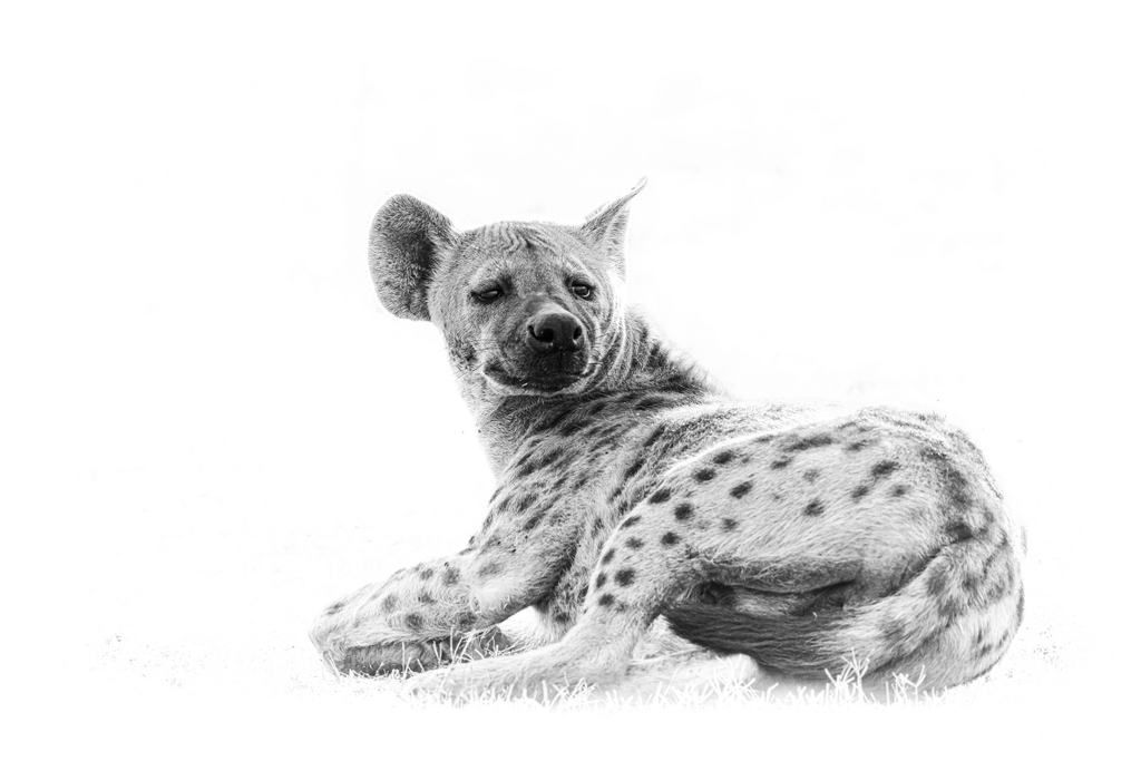 Sambia