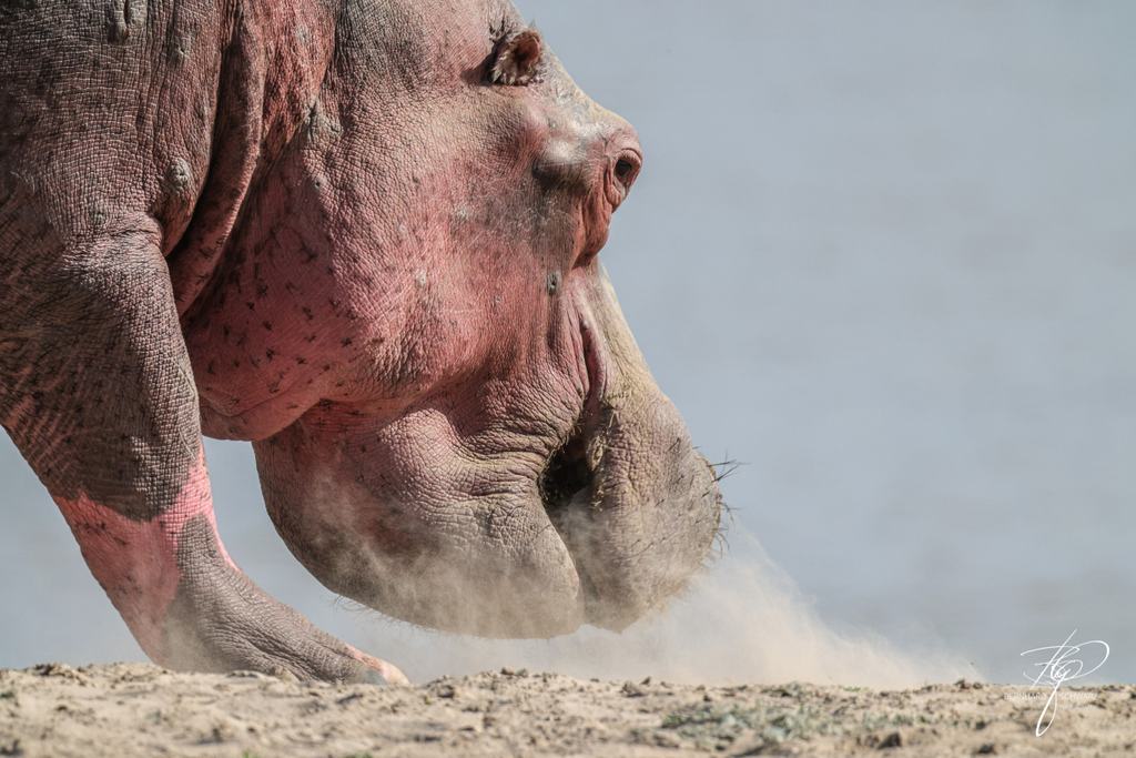SAMBIA