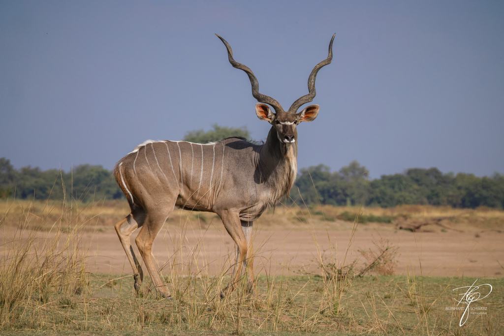 SAMBIA