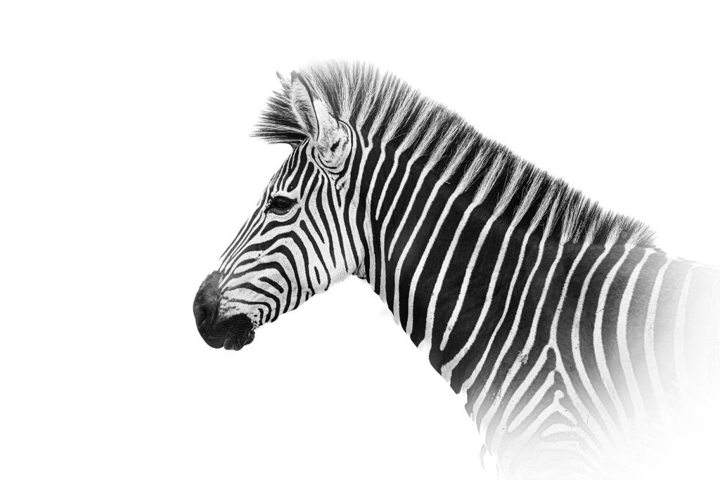 Sambia
