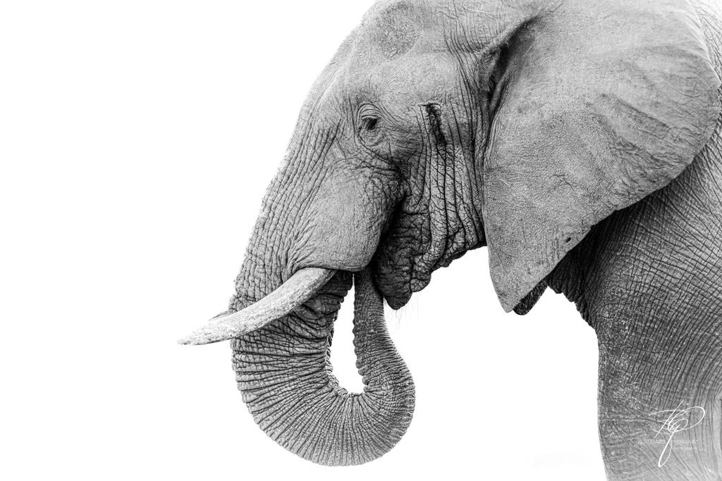Sambia