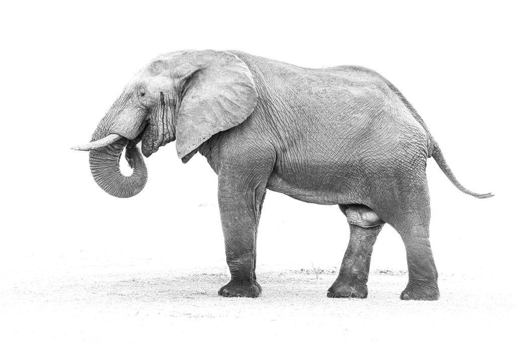 Sambia