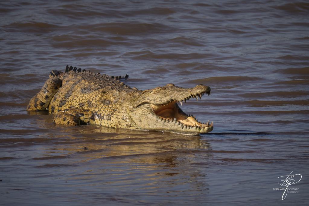 SAMBIA