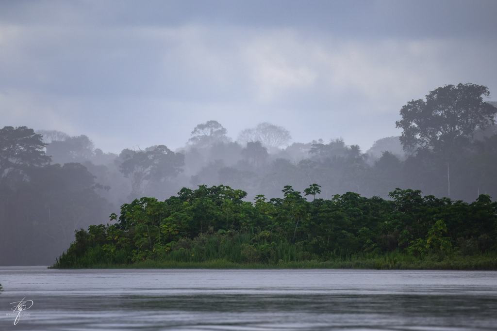 Yasuní-Nationalpark