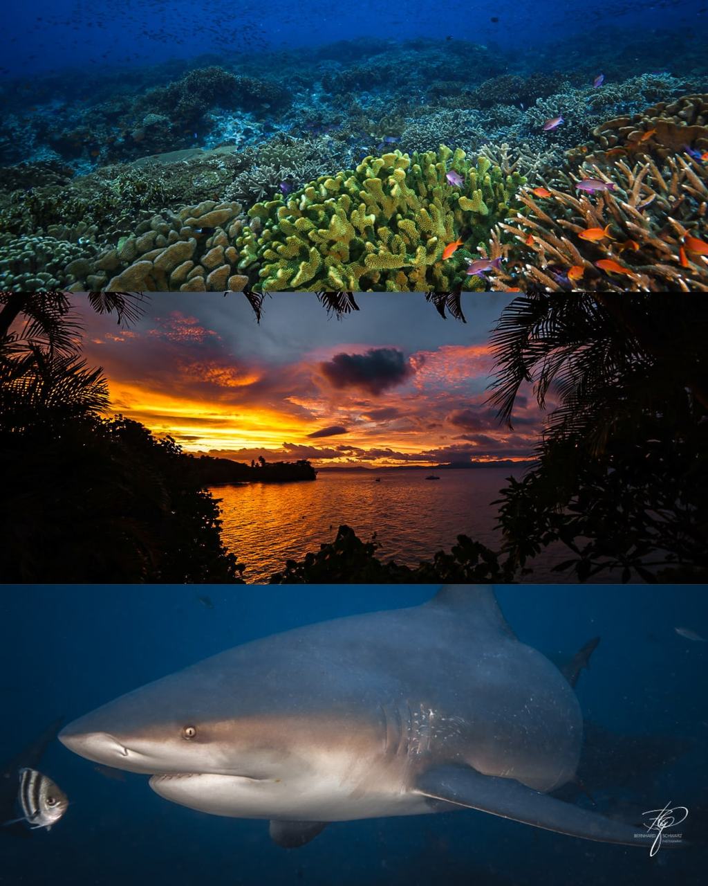 FIJI