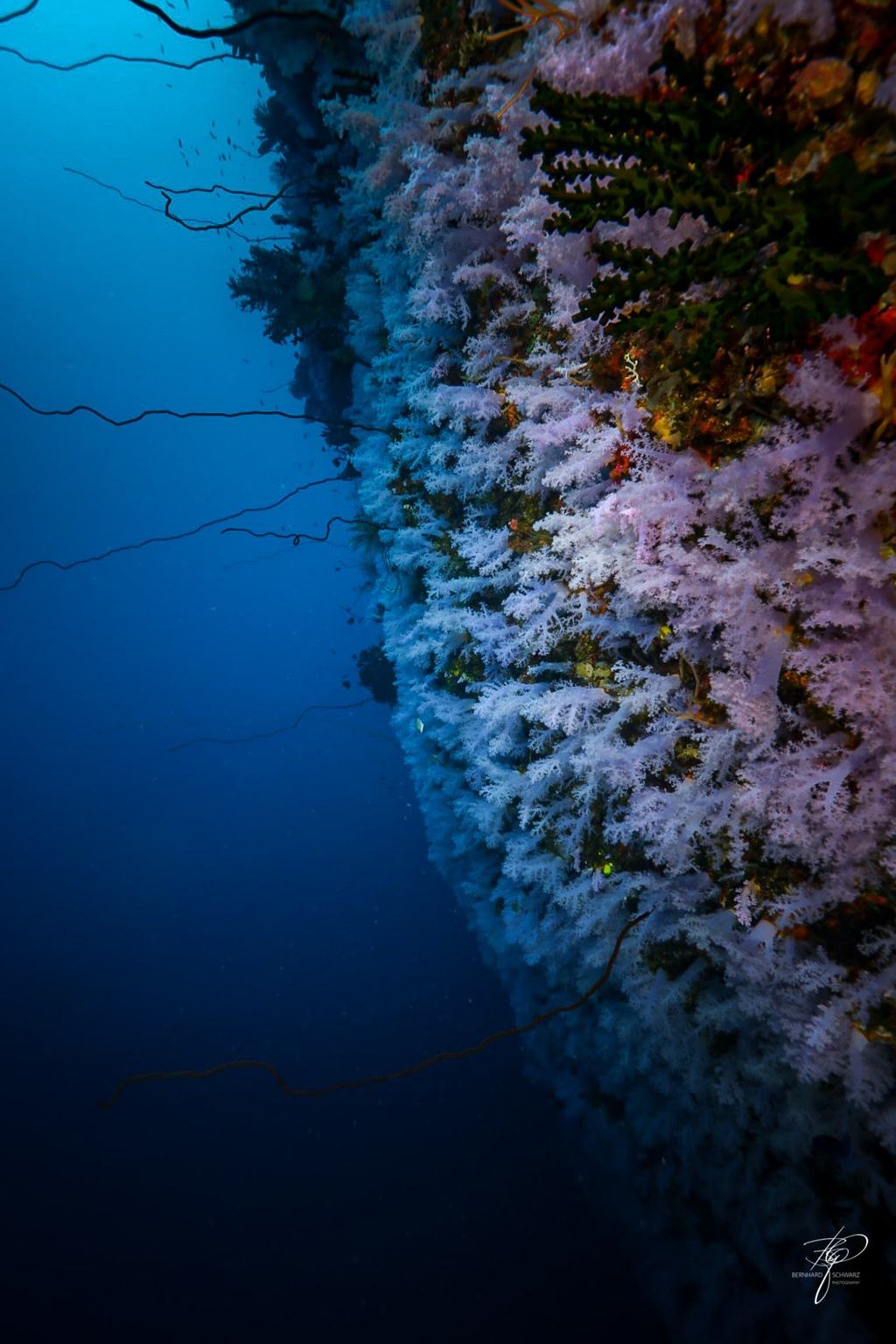 Fiji