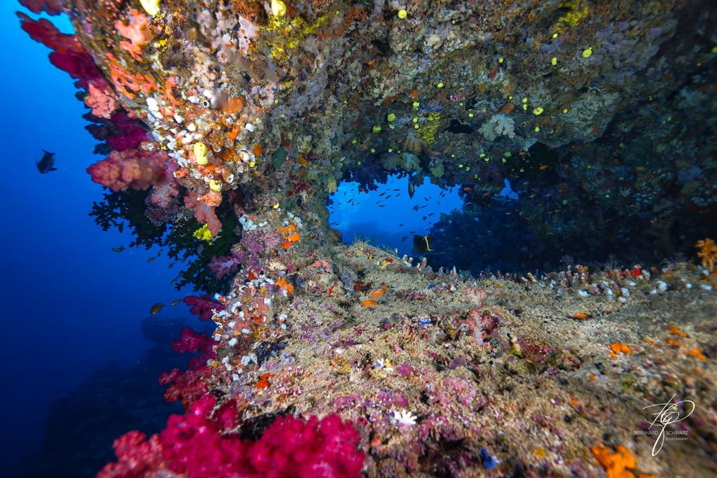 Fiji