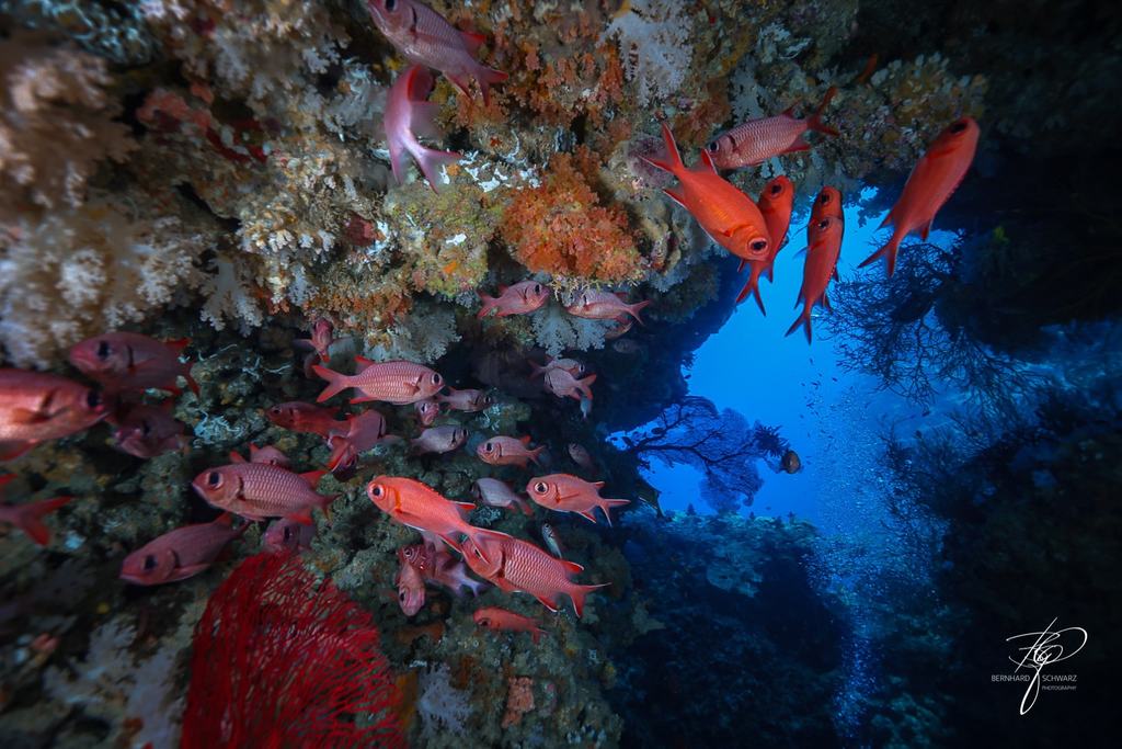 Fiji
